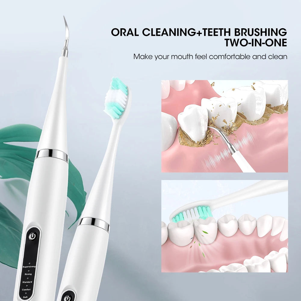 Détartreur électrique, dissolvant de tartre, nettoyant de plaque dentaire, blanchiment des dents, enlèvement des pierres dentaires, 1 tête de brosse à dents, soins bucco-dentaires